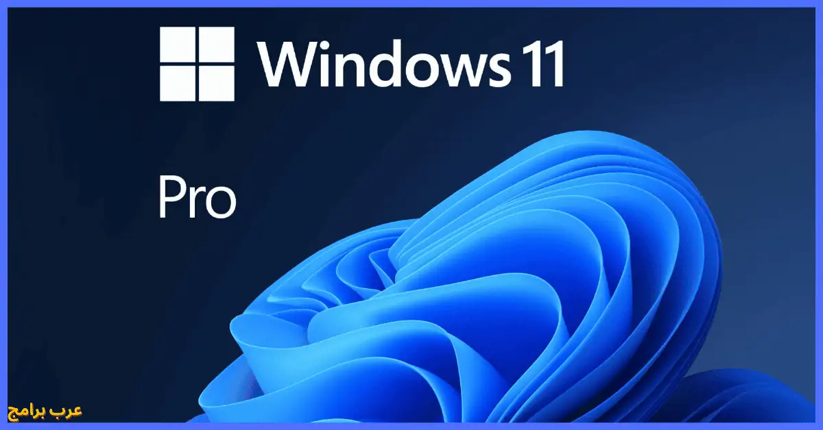 Windows 11 Pro