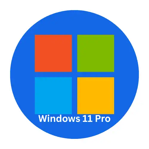 Windows 11 Pro