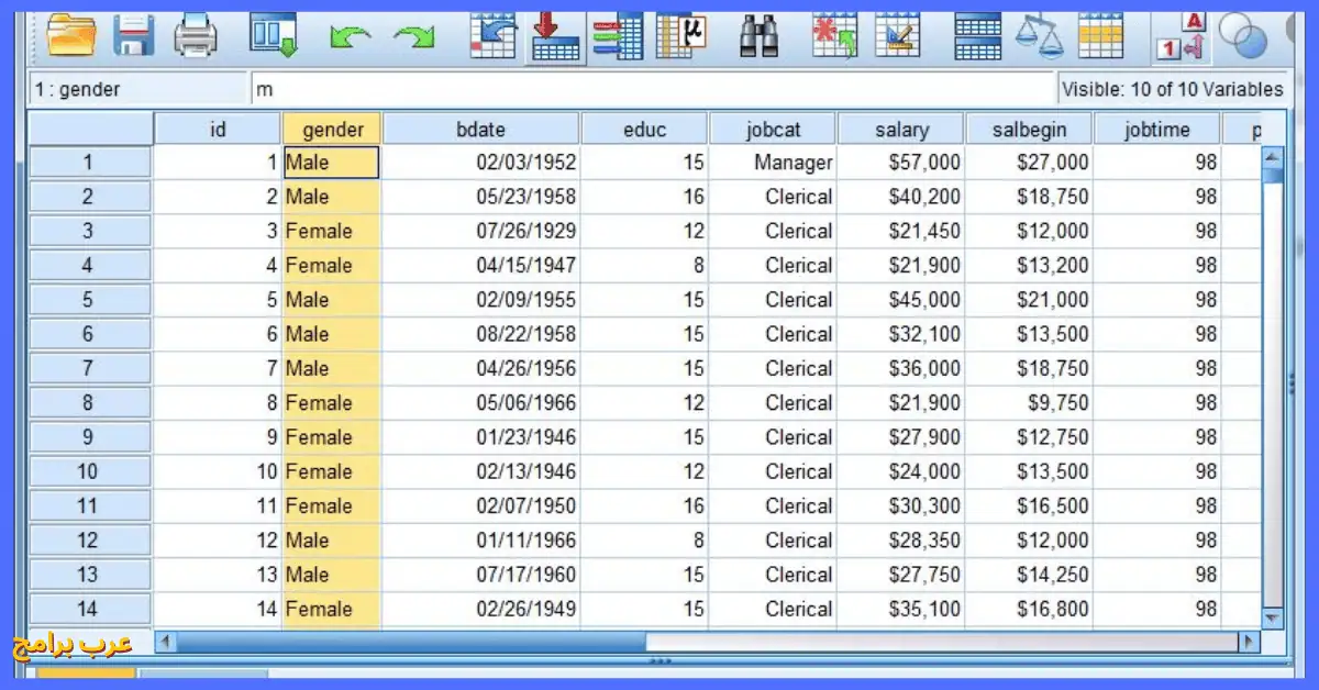 spss software